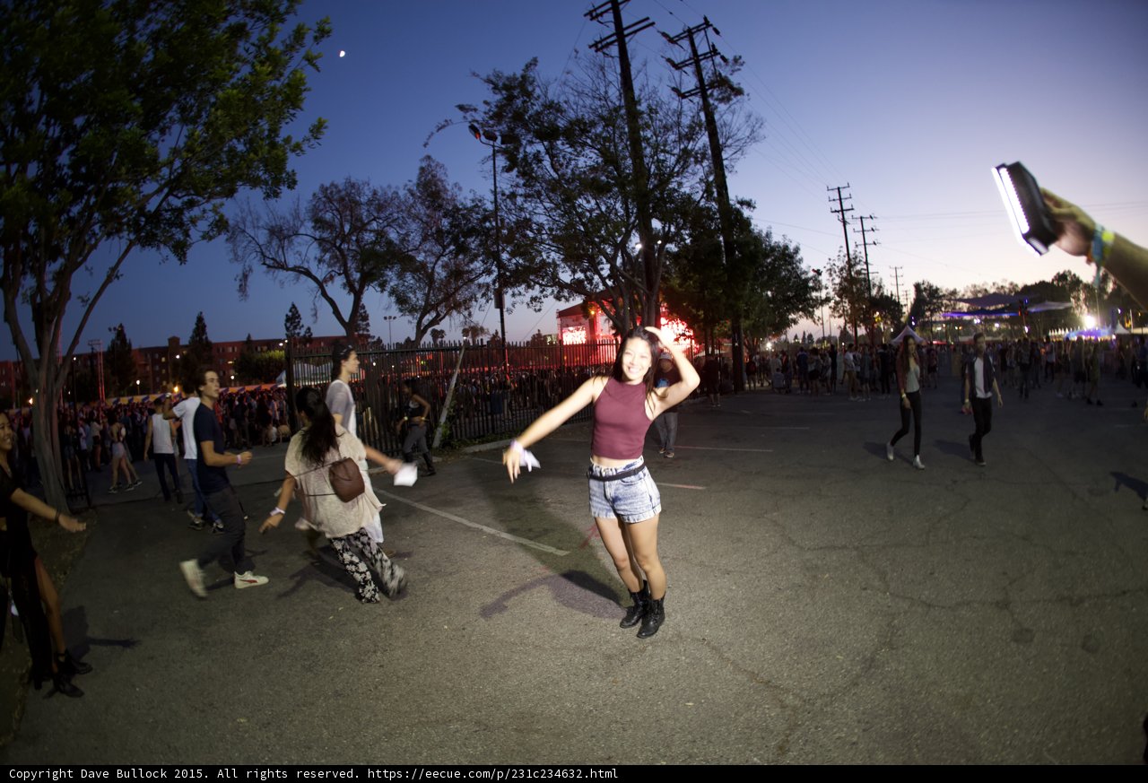 Dancing at Dusk