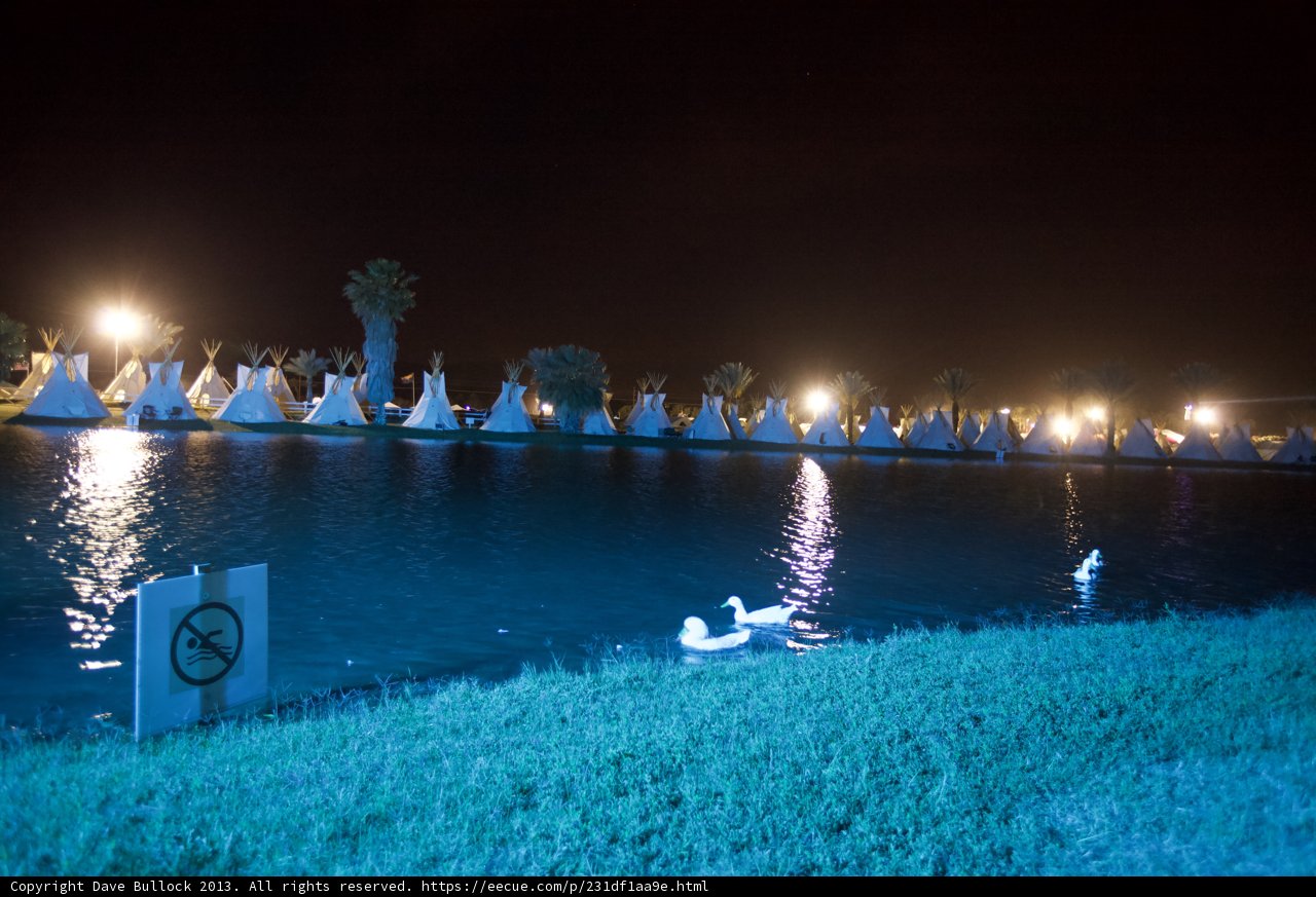 No Swimming with Company Caption: Three graceful swans glide through the waters under the night sky in front of a sign forbidding swimming in Altadena, California.