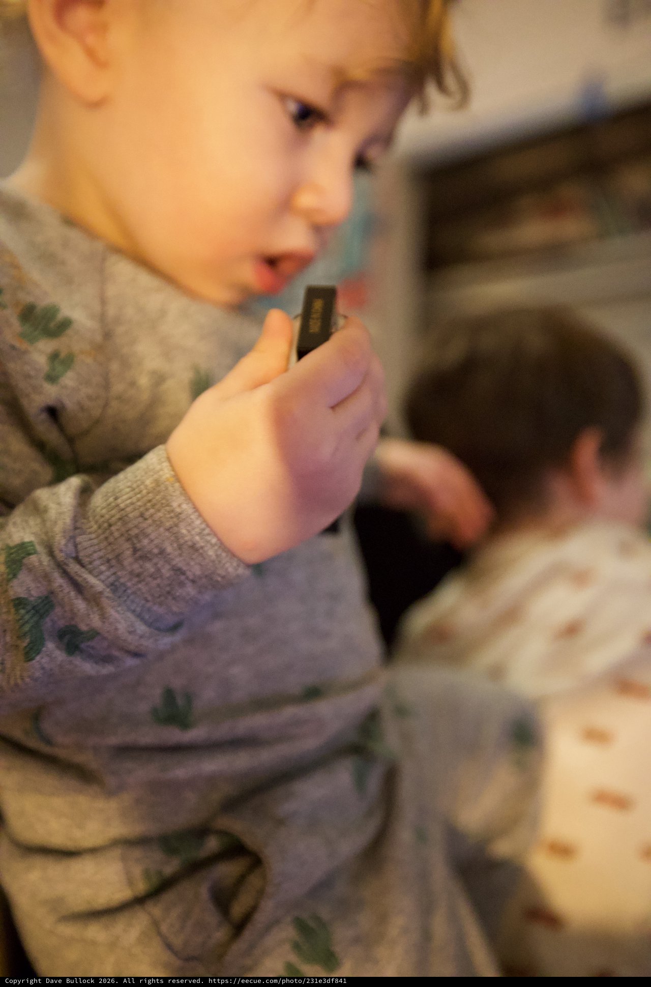 Young Child Concentrating on Harmonica Playing at Home