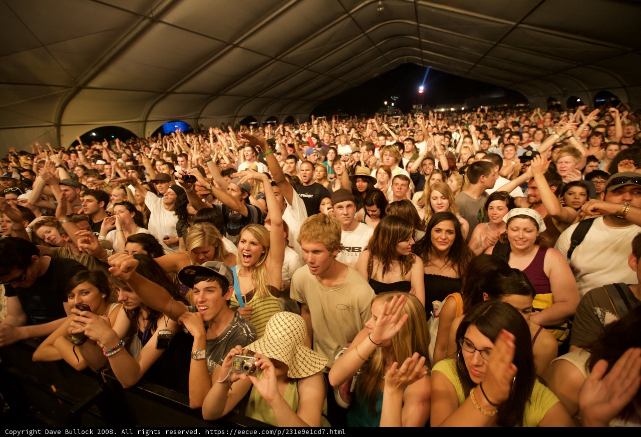 Coachella Concert Goers With Hands Raised