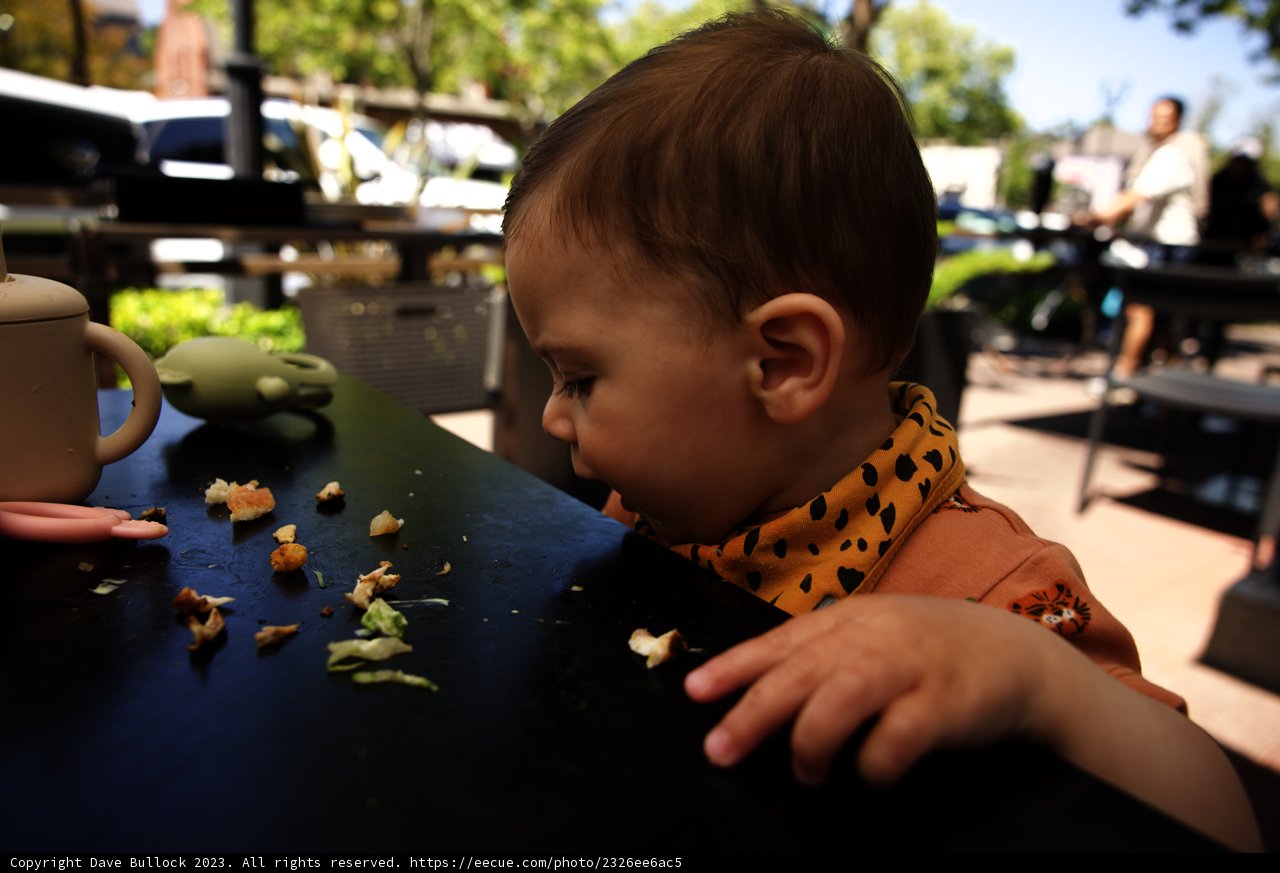 Wesley's Outdoor Dining Adventure