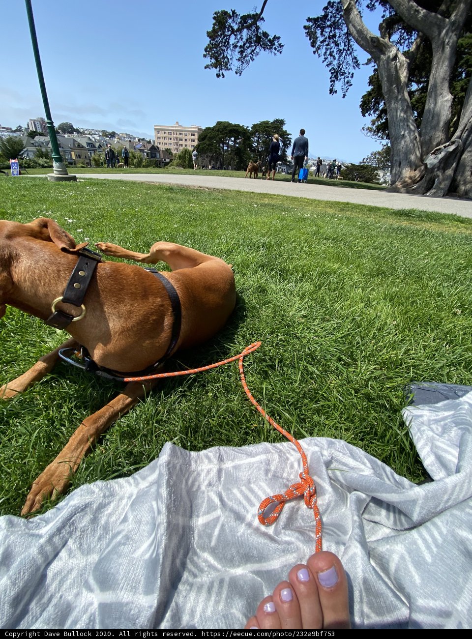 Relaxing in the Park