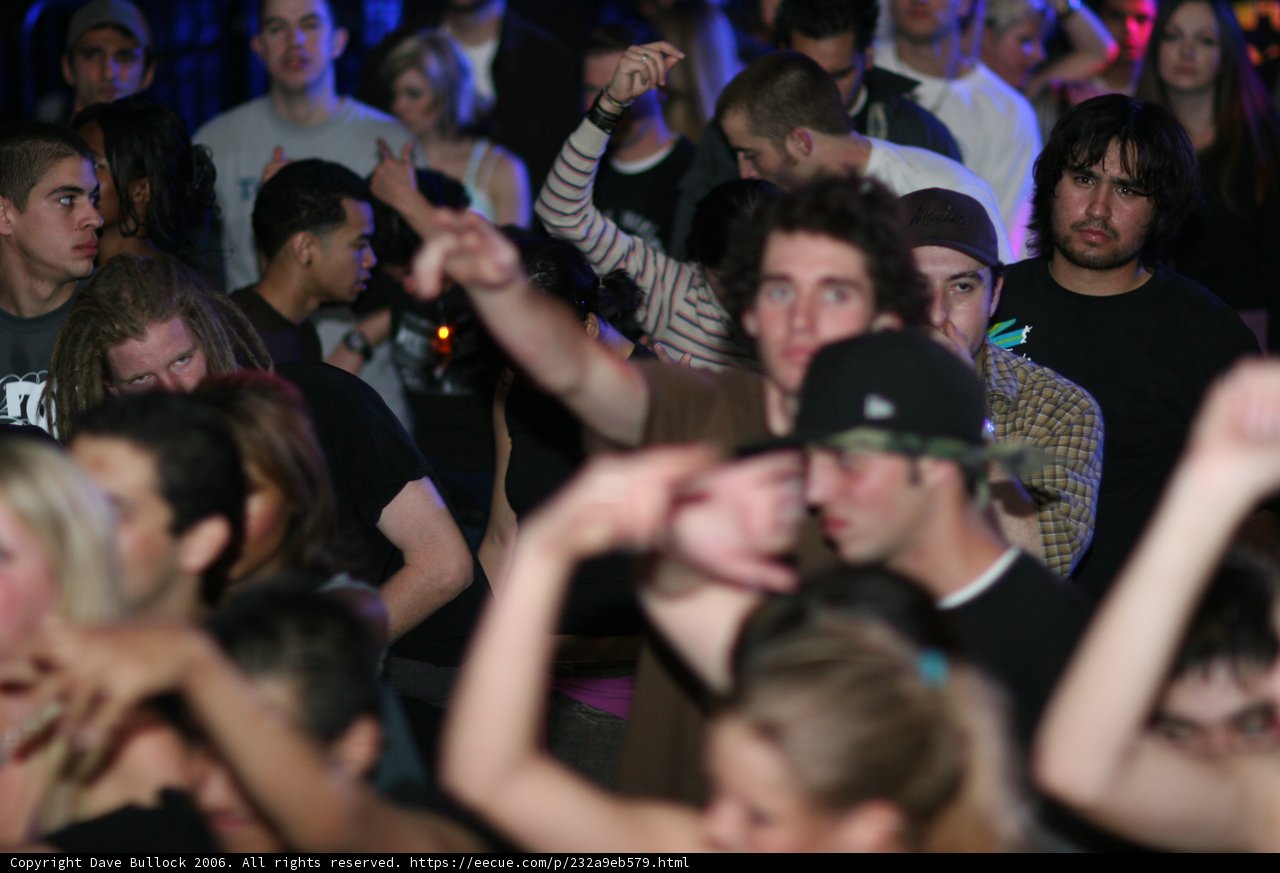 Bass Rush Party