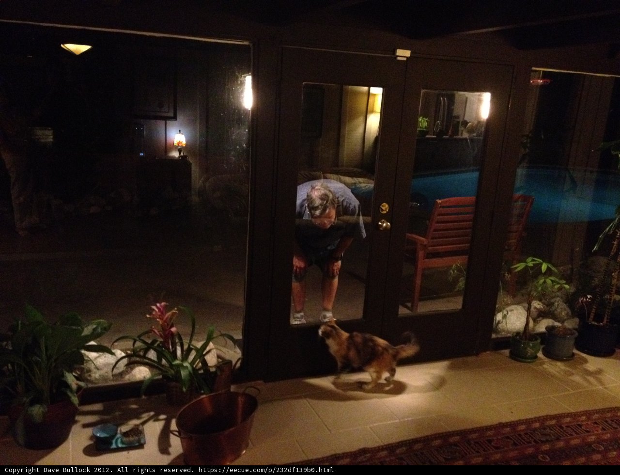 Man and Dog at the Potted Plant Doorway