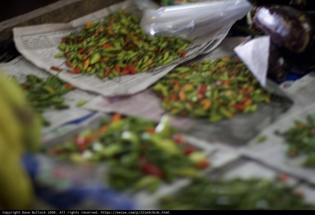 A Colorful Array of Fresh Produce