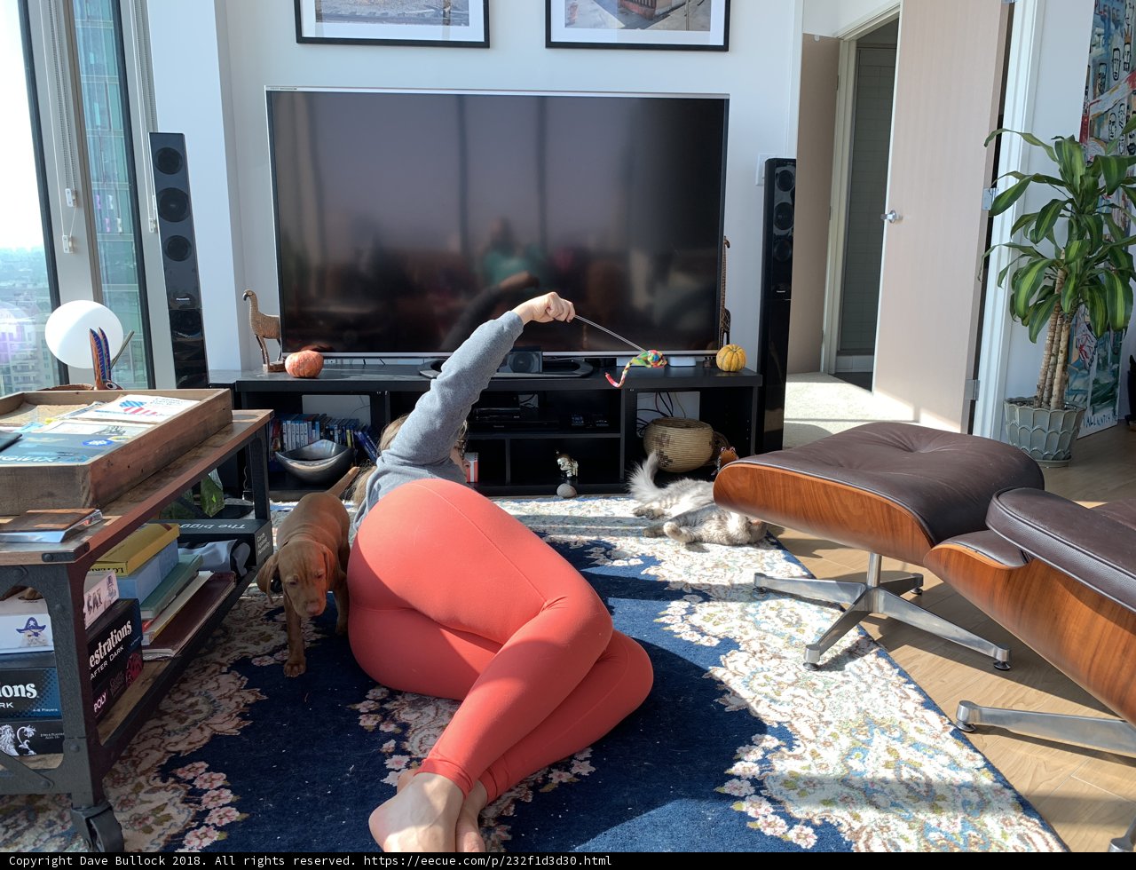 Relaxing Indoor Entertainment