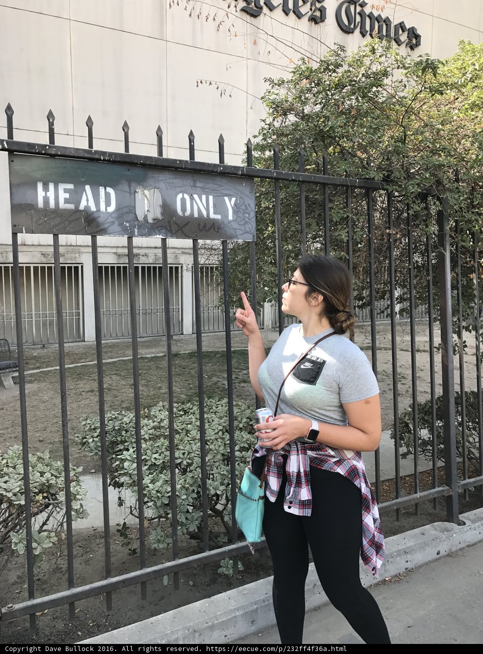 Head Only Zone