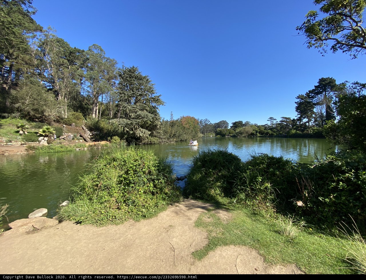 Serene Waters of Golden Gate Park