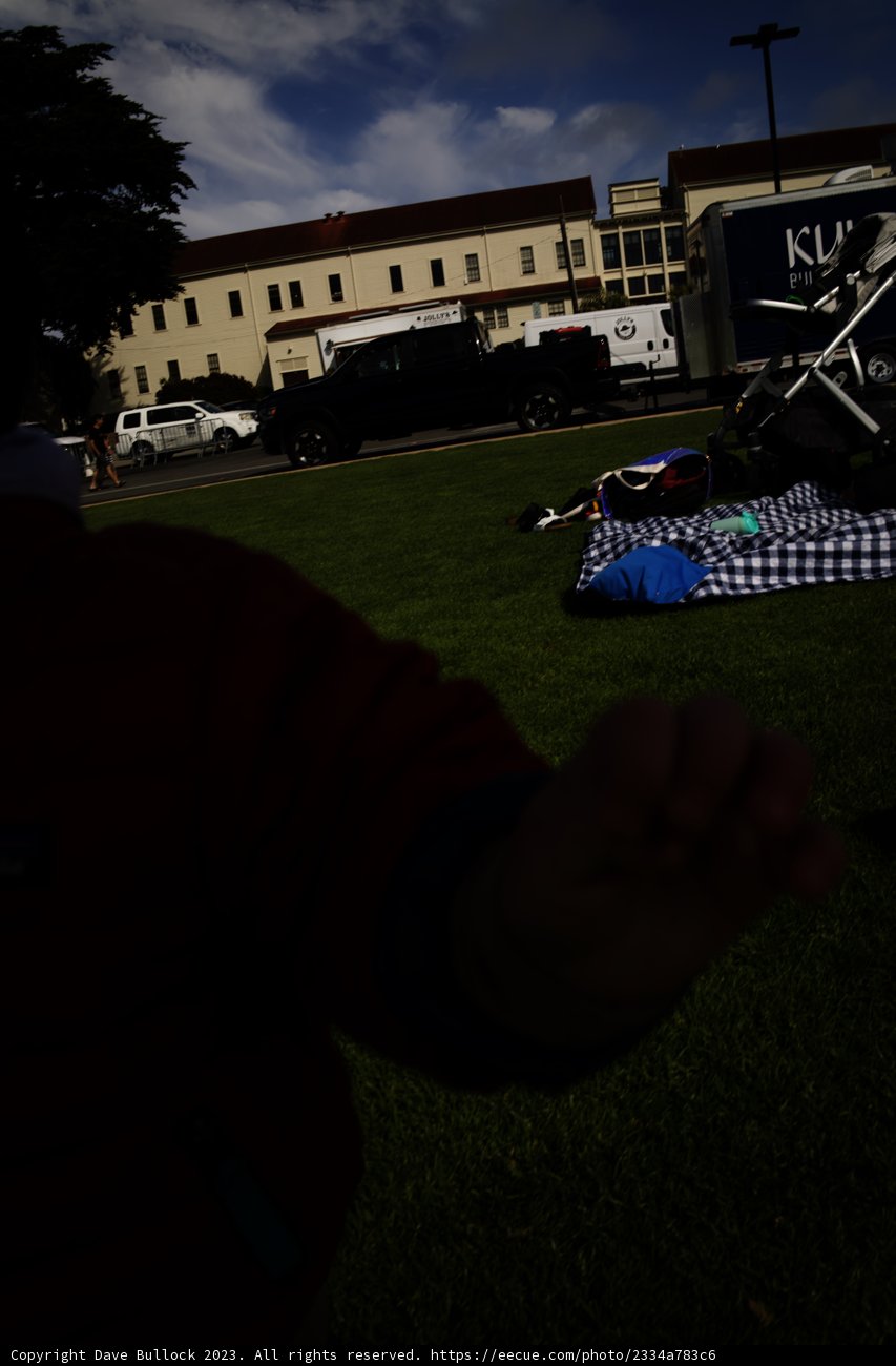 Summer Frisbee Fun in Presidio