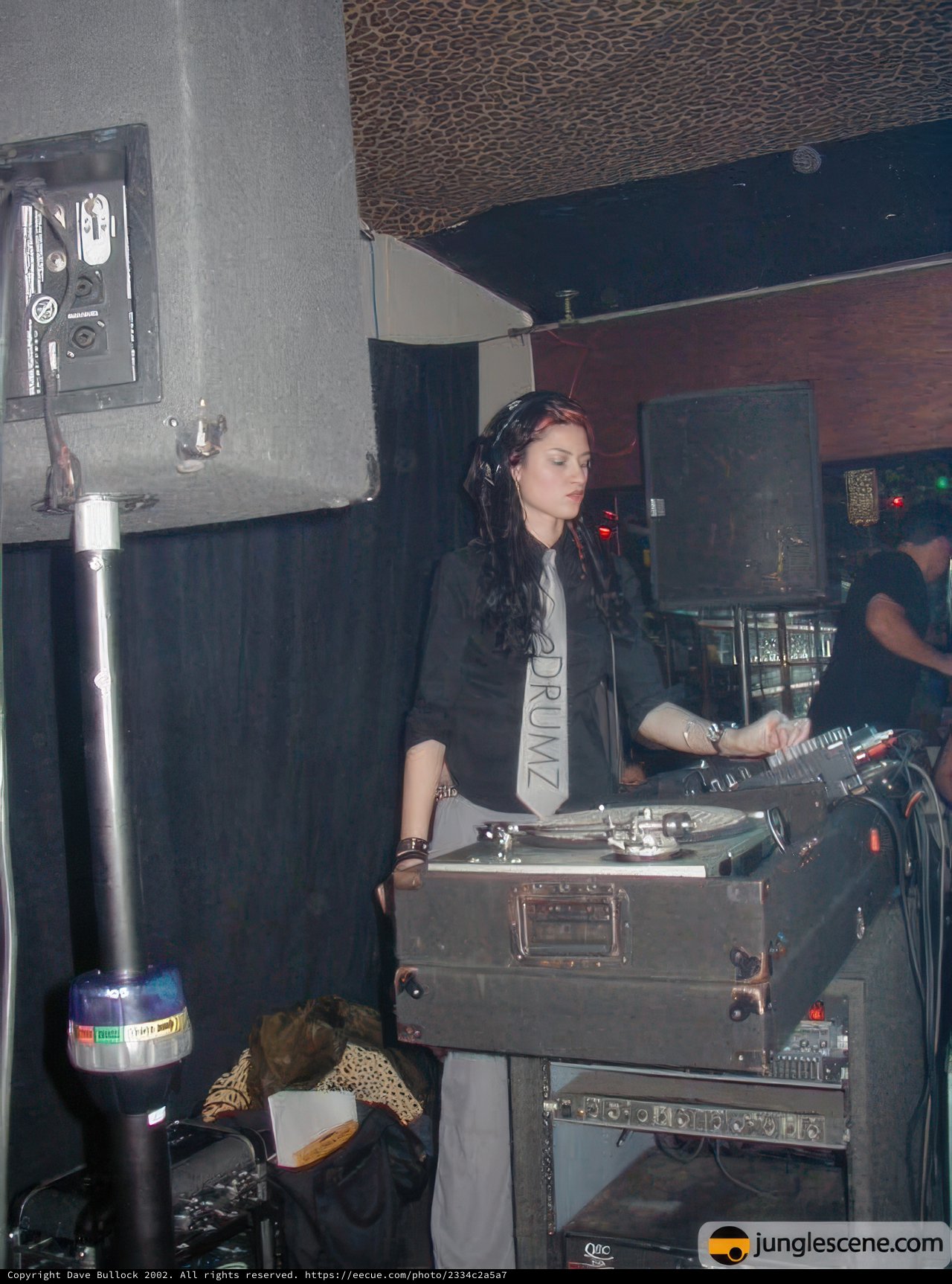 DJ Set for a Respectful Crowd