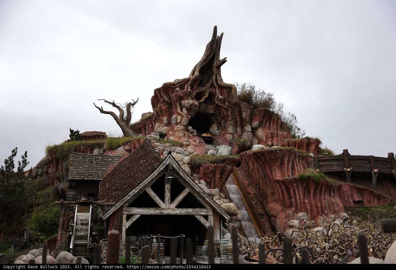 The Natural Retreats of Animal Kingdom