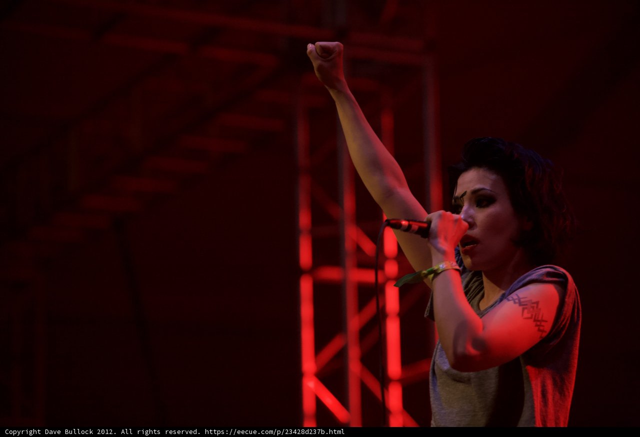 Raising the Roof