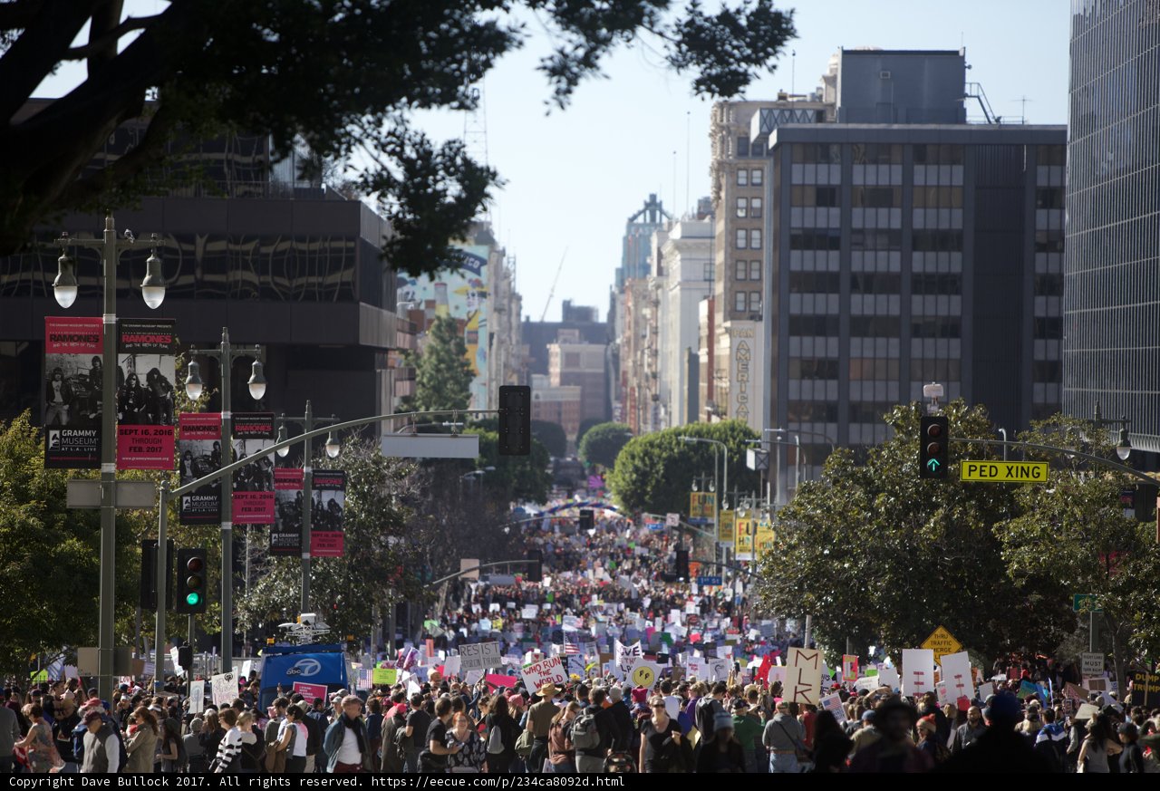 March for Women's Rights in the Metropolis