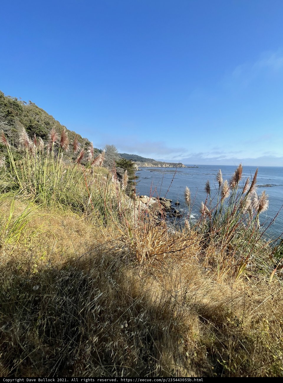 Scenic View of the Ocean and Tall Grass at Jenner, California