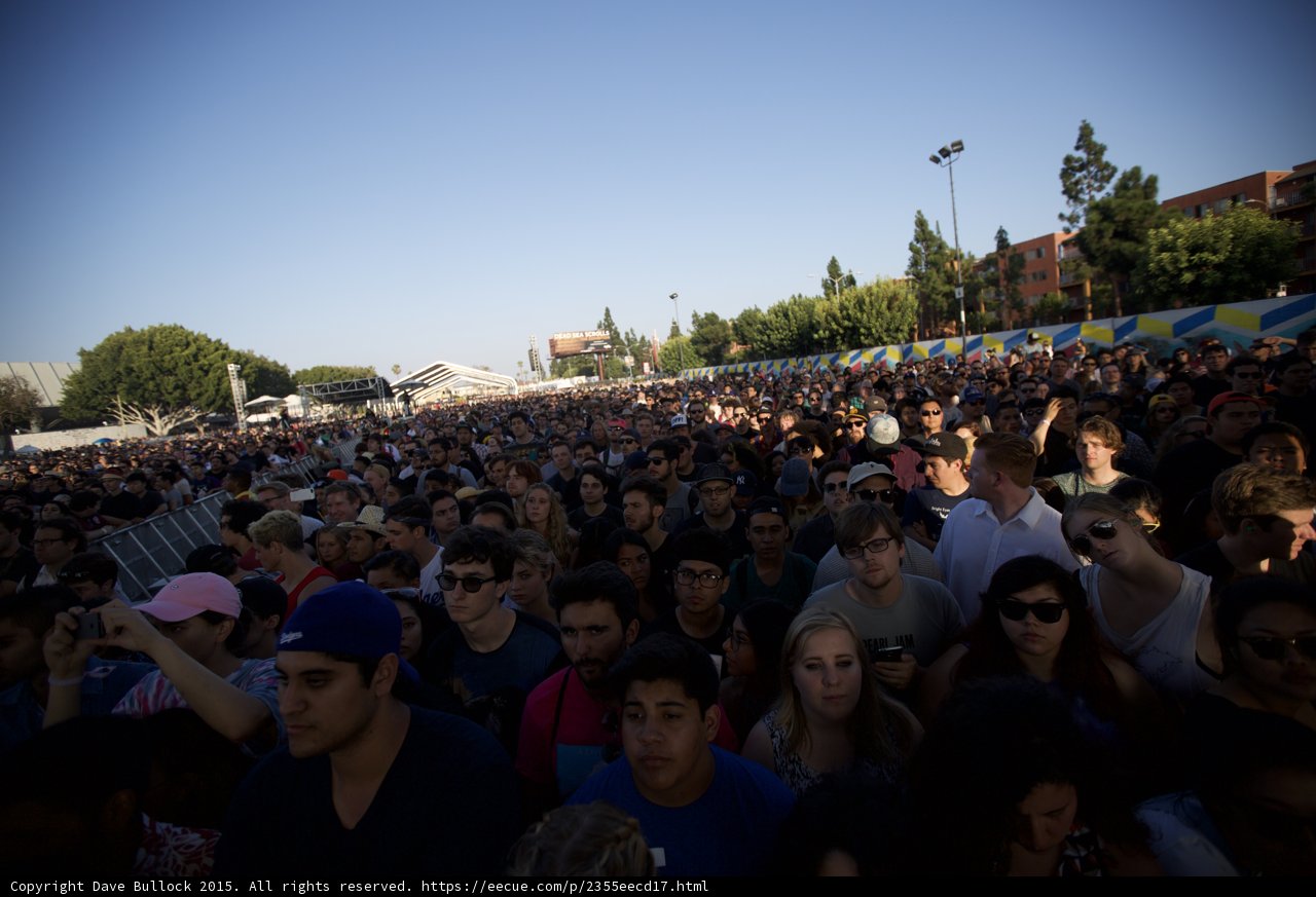 Massive FYF Crowd