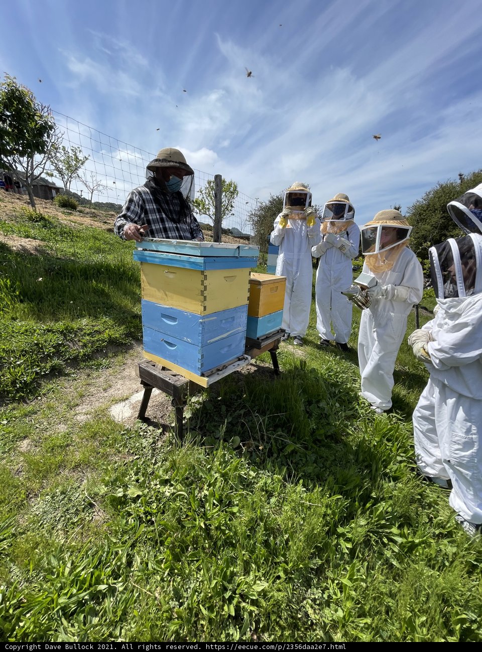 Beekeepers in Protective Suits Amidst Blue Skies and Clouds