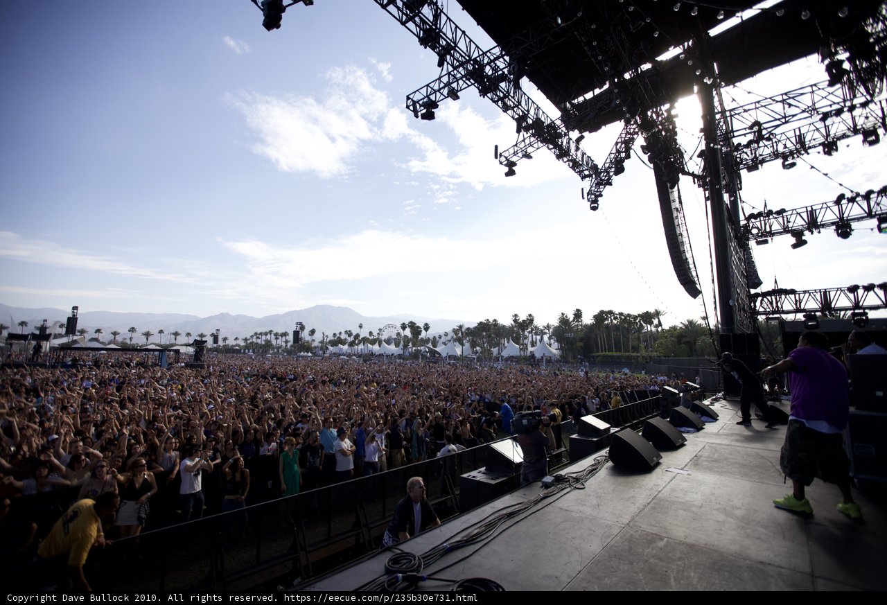 Music Festival Madness