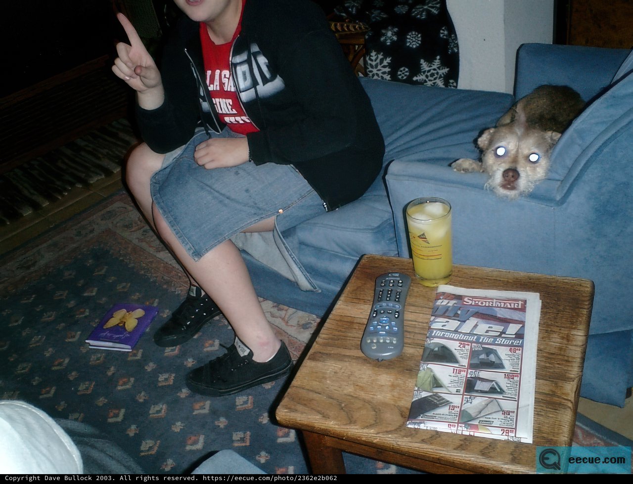 Relaxing with Fido on the Couch