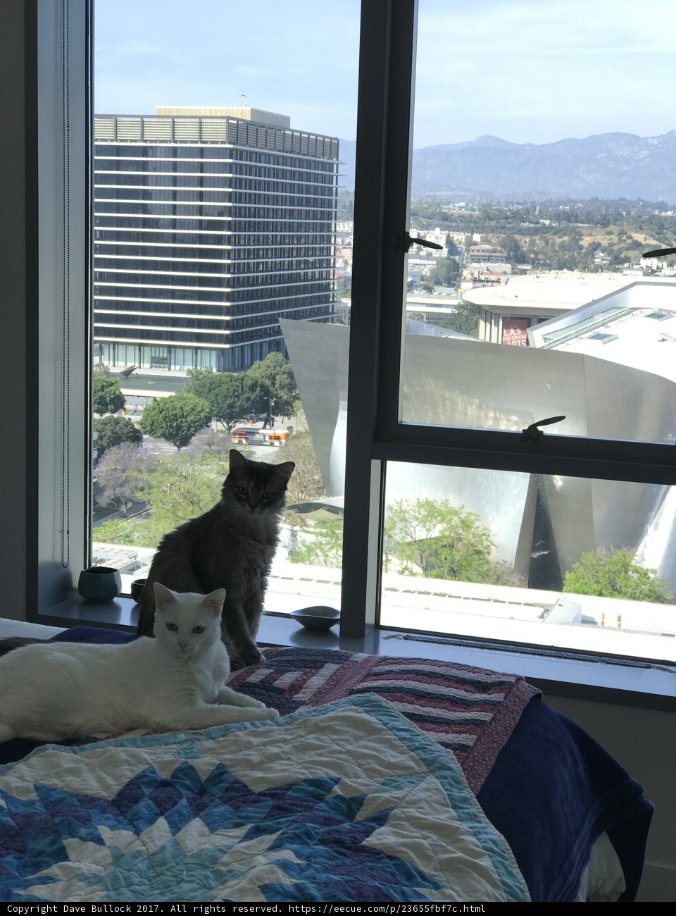 Two Cats on a Linen Bed in The Broad
