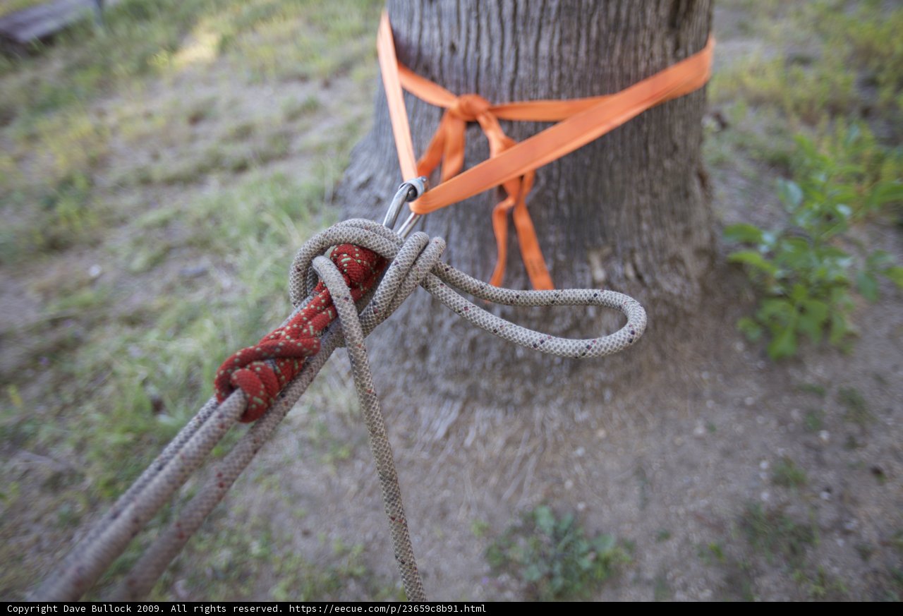 The Secured Tree