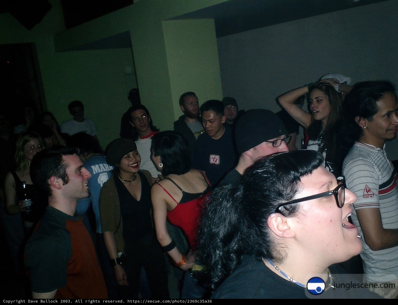 Nightclub Crowd