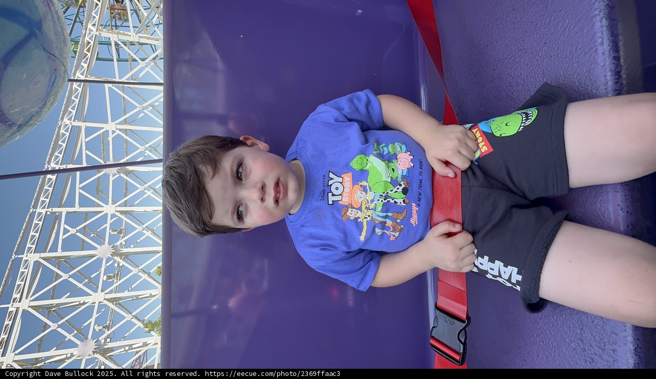 Magic Moments at Disney Adventure