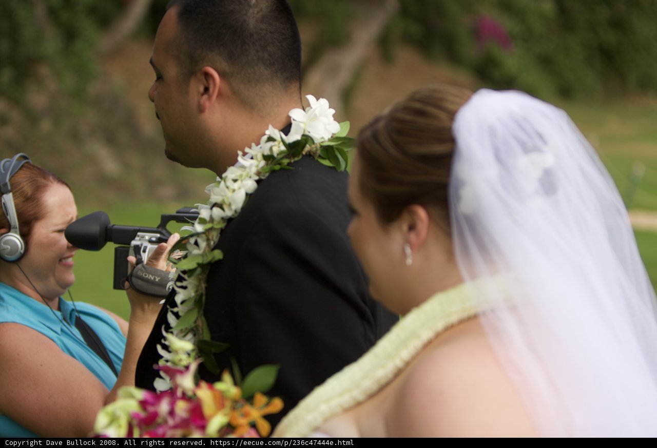 Wedding Bliss in Hawaii