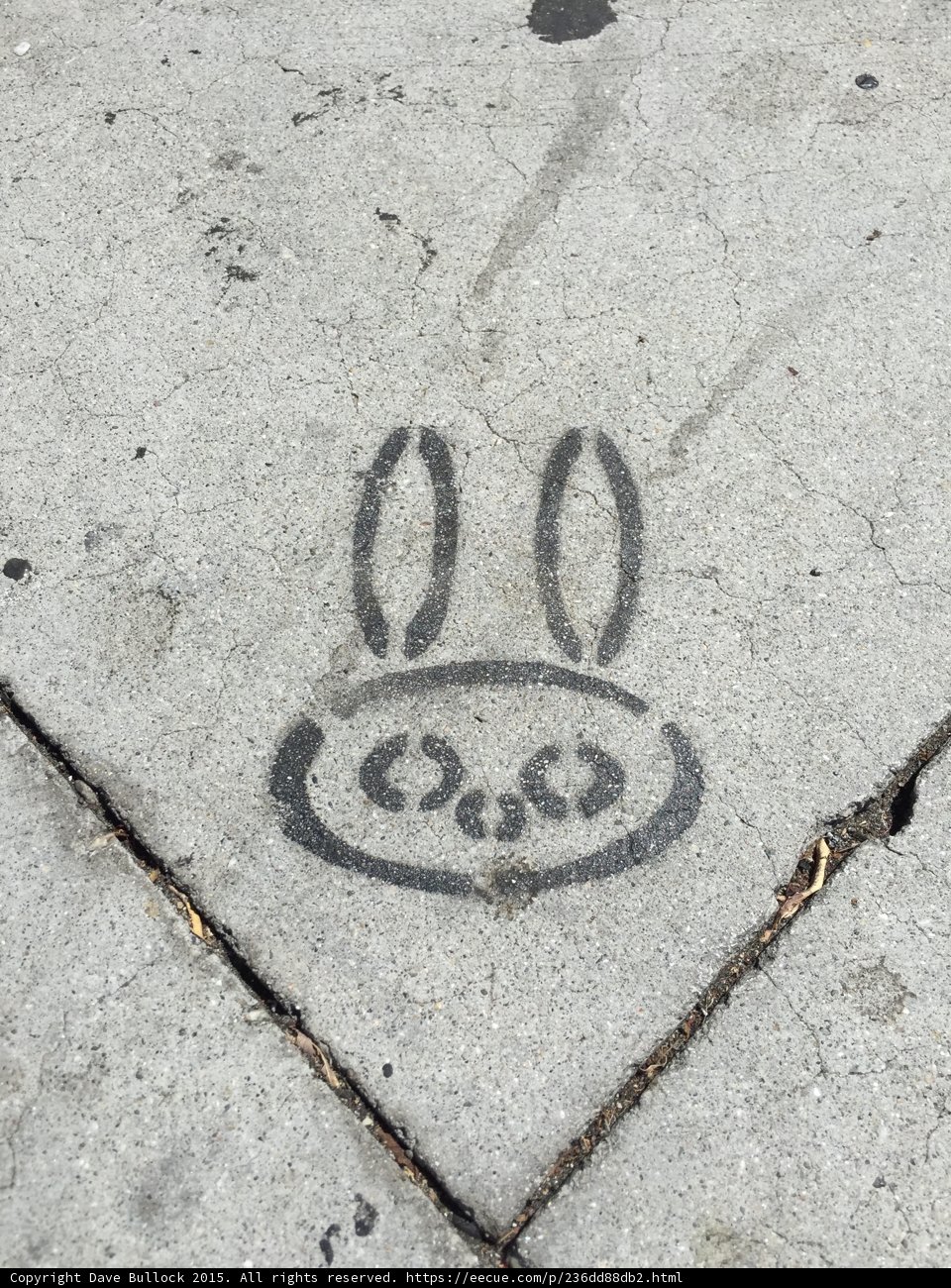 Rabbit Graffiti on Walt Disney Concert Hall Sidewalk