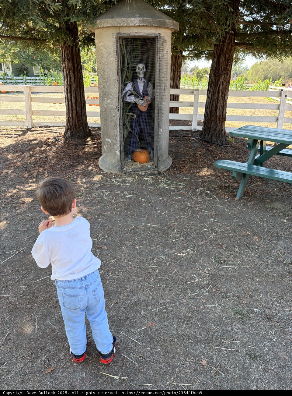 Curious Encounter in the Park