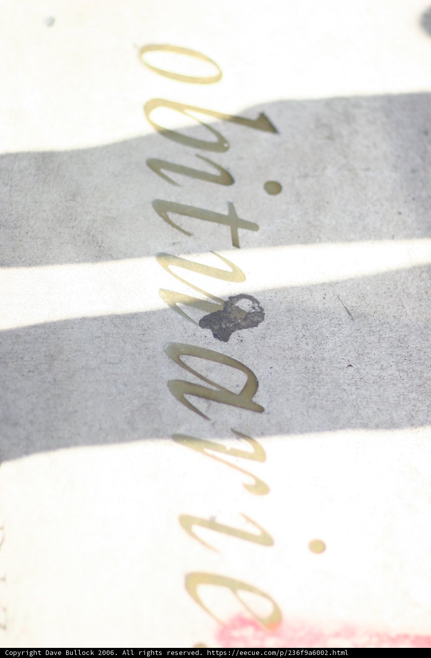 Skater's Scribble