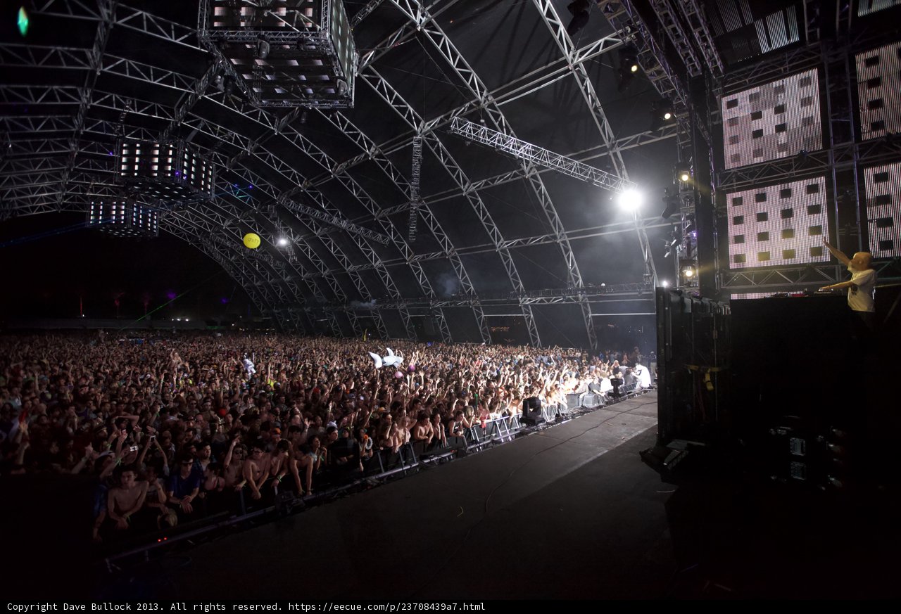 Coachella's Euphoric Crowd