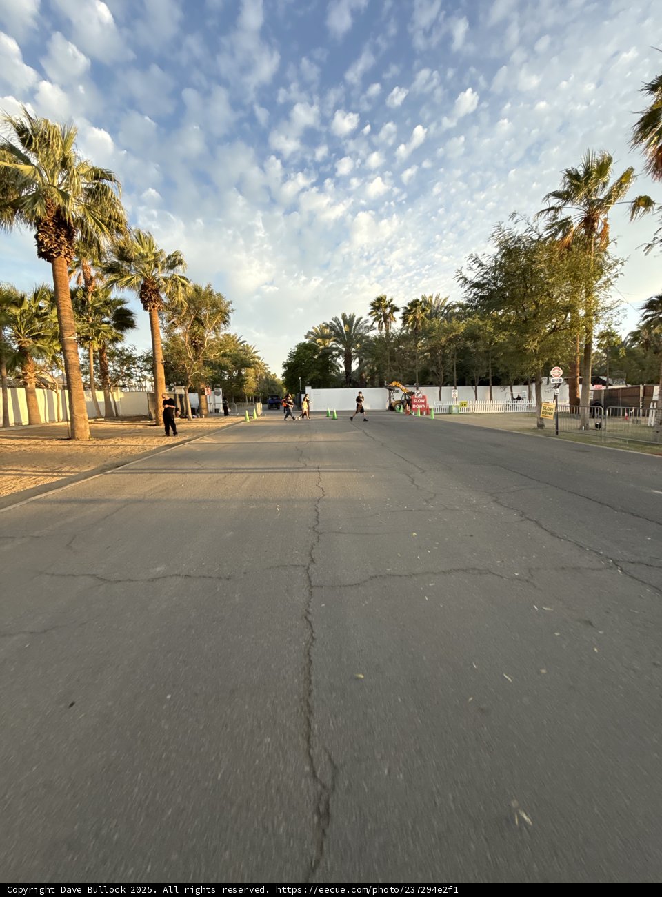 Oasis at Sunset