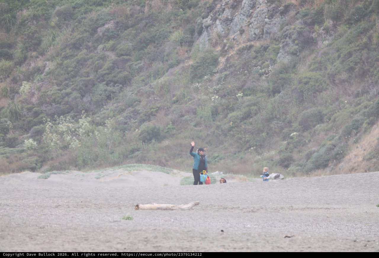Family Waves Hello on a Misty Rocky Beach