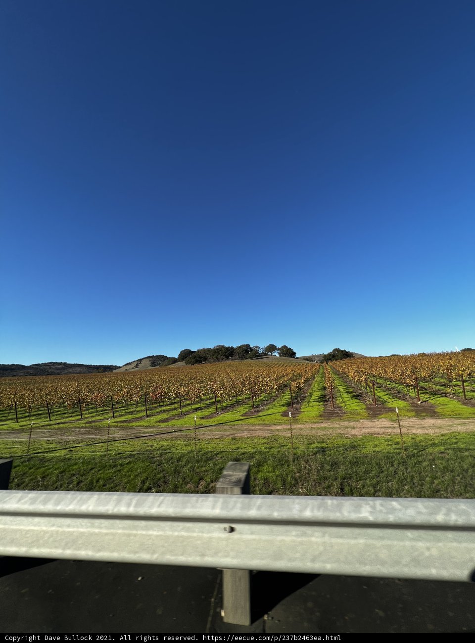 Rolling Hills of Napa