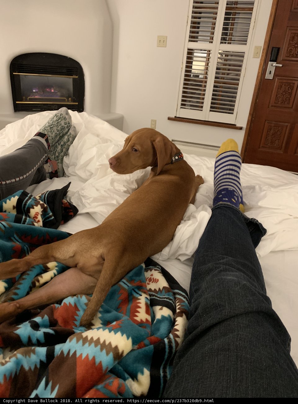 Cozy Nap Buddies