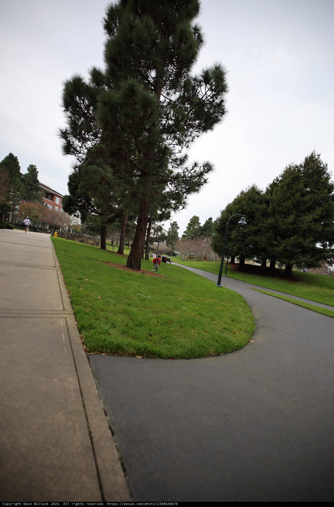 Winding Path Through Skywalker Ranch Campus