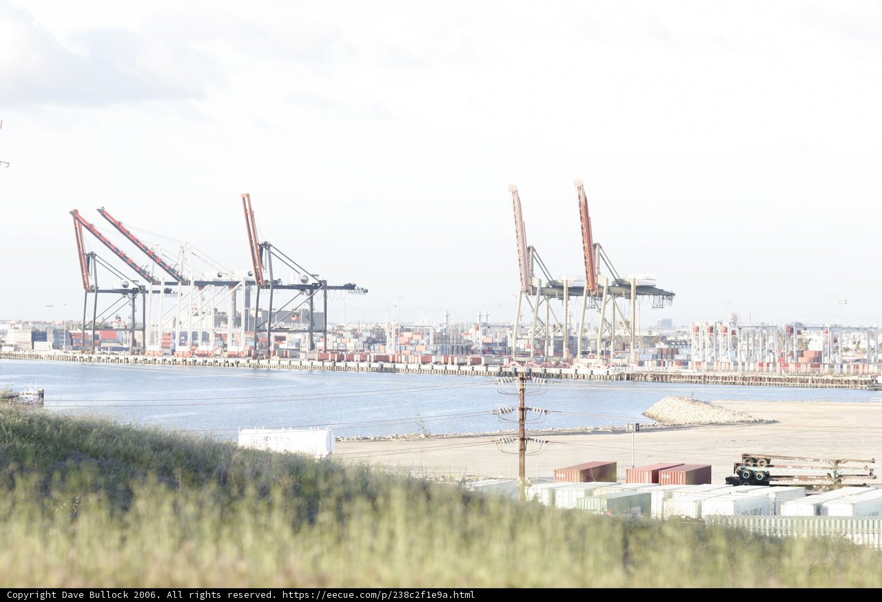 Cranes at the Waterfront