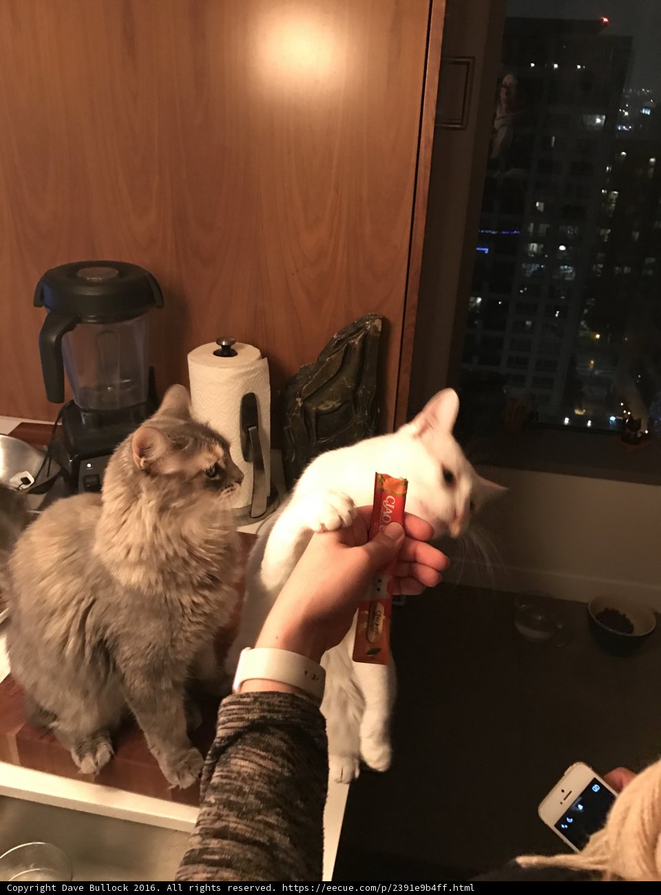 Feeding Time