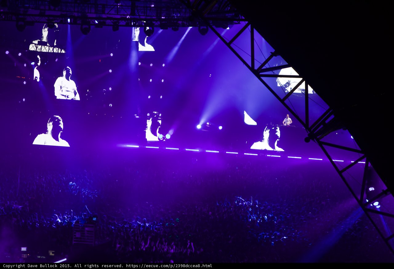 Purple Lights and Rockin' Crowds