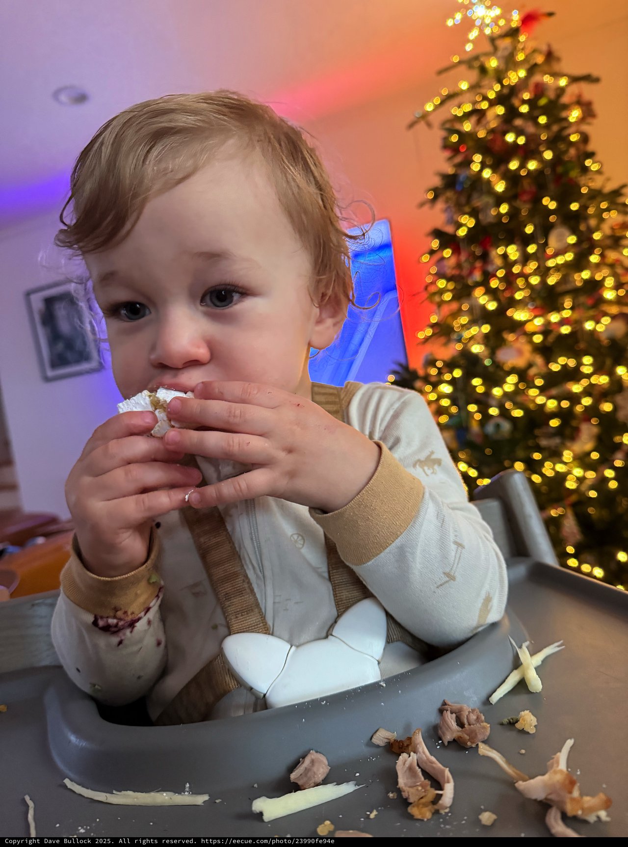 Toddler Enjoying Christmas Treats by Decorated Tree