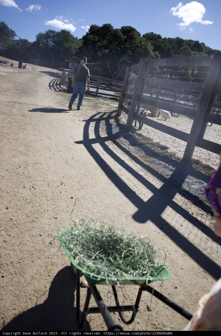 Morning Chores at Carmel Valley Ranch