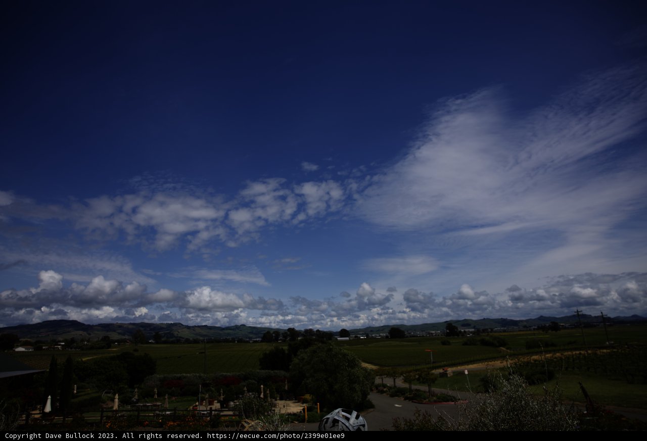 Serenity at Bouchaine Vineyards