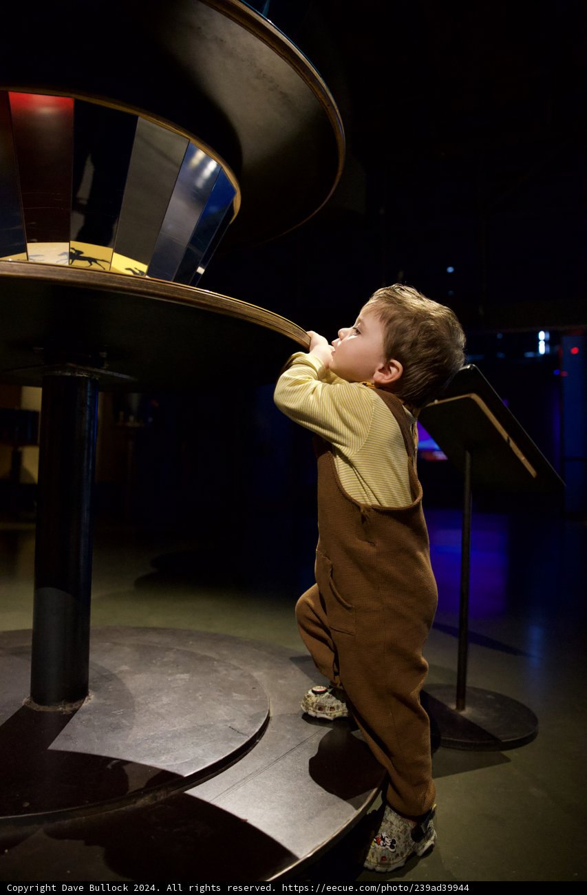 Curiosity in Action at the Exploratorium