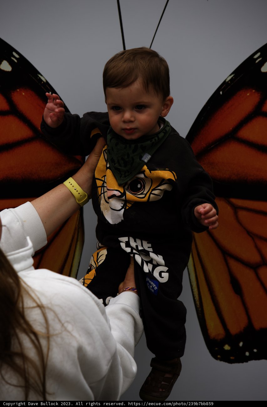 Magical Moments at San Francisco Zoo