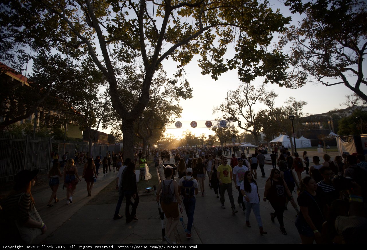Sunset Festival Walk
