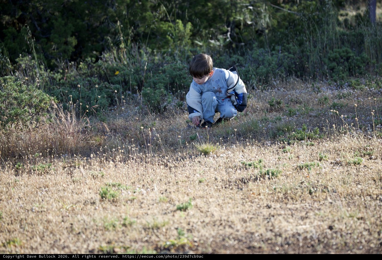 Young Explorer Discovers Nature at Mount Diablo