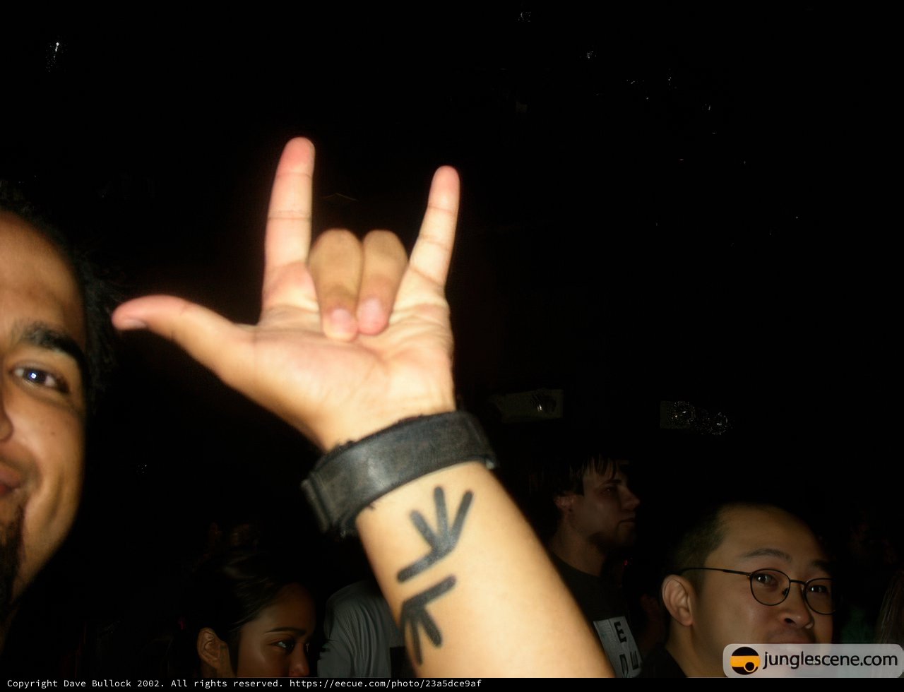 Peaceful Inked Hand