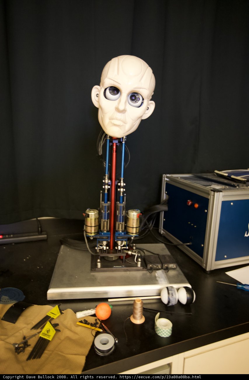 Robotic Companion