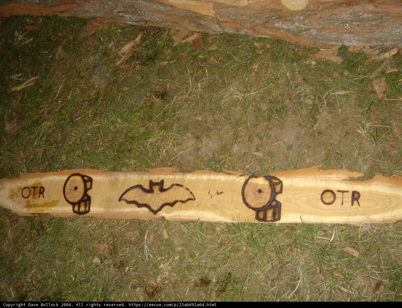 Batty about Wood