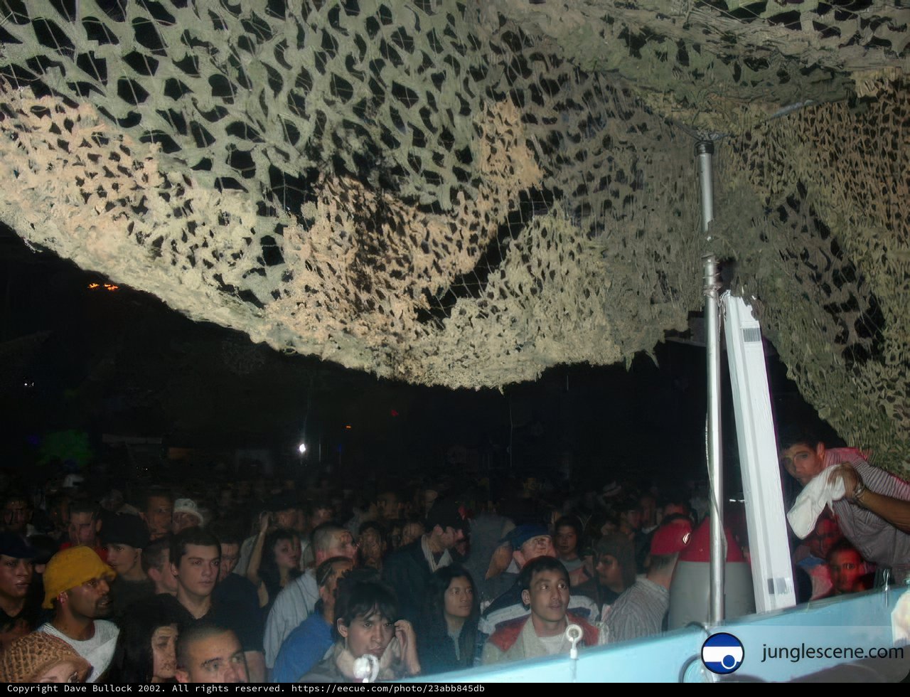 Concert under the Net